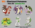 WA-Charizard Pokemon-Shiny_Set
